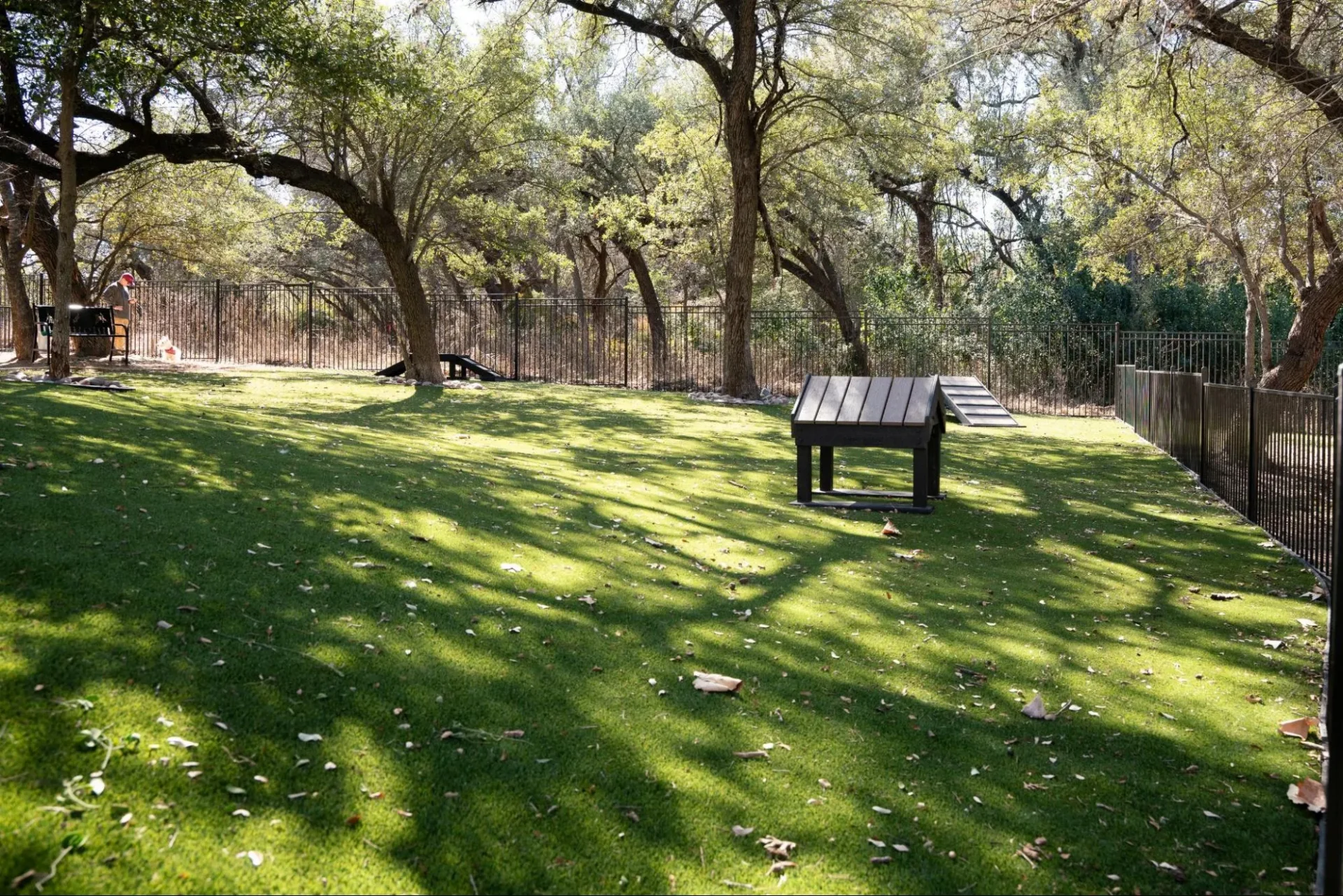 Agility Equipment and Play Features